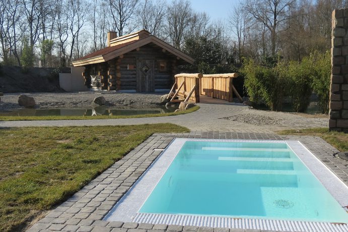 Imagen de la piscina del Hotel Ringhotel Alfsee Piazza. Foto 19