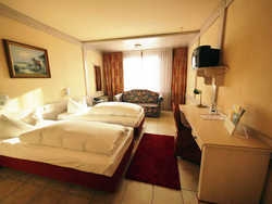 Imagen de la habitación del Hotel Ringhotel Alpenhof. Foto 3