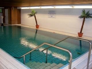 Imagen de la piscina del Hotel Ringhotel Haus Oberwinter. Foto 7
