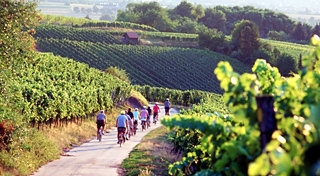 Imagen general del Hotel Ringhotel Heilbronn. Foto 2