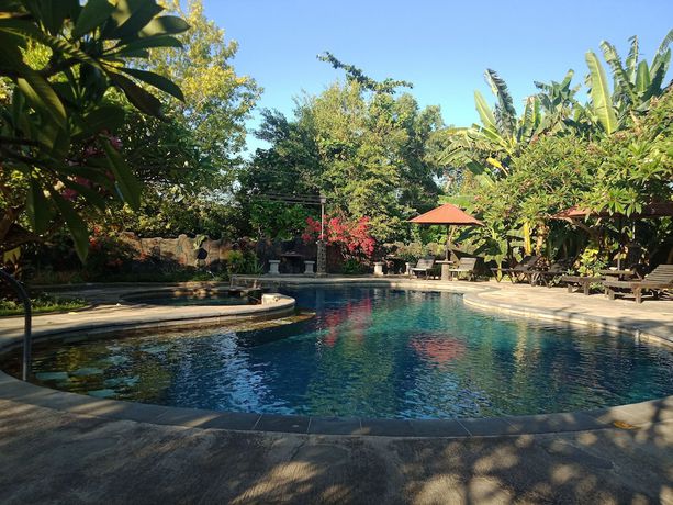 Imagen de la piscina del Hotel Rini. Foto 20