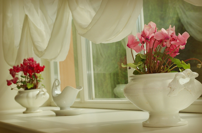 Imagen de los interiores del Hotel Rinno. Foto 14