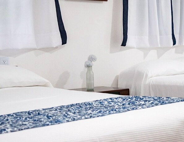 Imagen general del Hotel Rio Atlixco. Foto 14