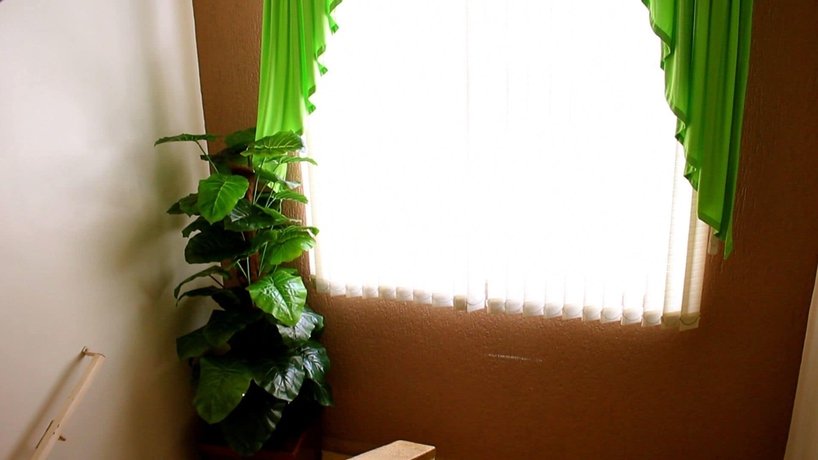 Imagen de los interiores del Hotel Rio Branco, Sao Paulo Ciudad. Foto 18