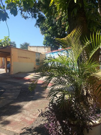 Imagen general del Hotel Rio Colima. Foto 3