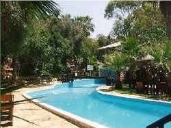 Imagen de la piscina del Hotel Rio Gardens. Foto 3