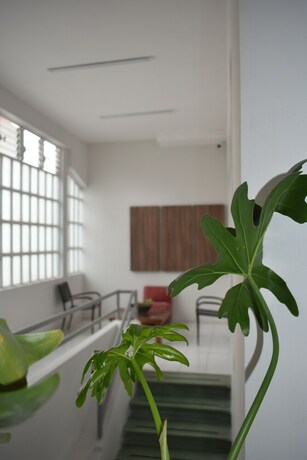 Imagen de los interiores del Hotel Rio, Heroica Puebla de Zaragoza. Foto 38