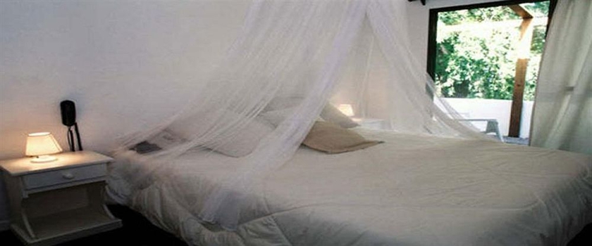 Imagen de la habitación del Hotel Rio Laura Delta Lodge. Foto 2