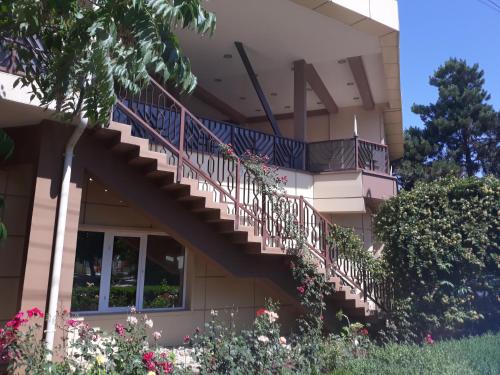 Imagen general del Hotel Rio, NEPTUN - OLIMP. Foto 2