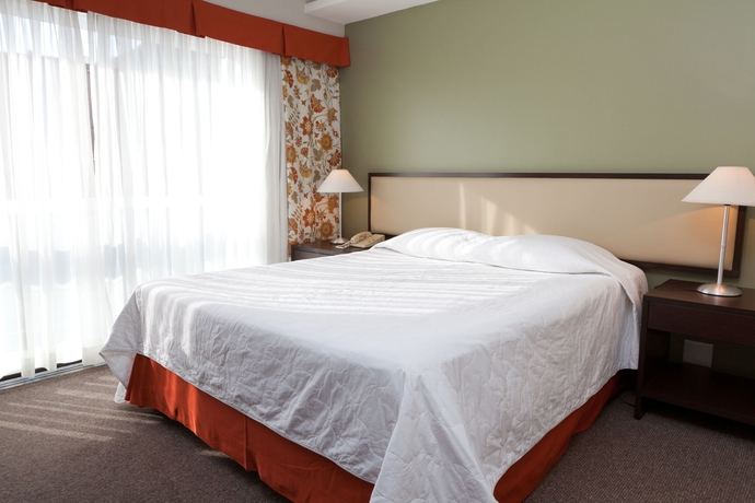 Imagen de la habitación del Hotel Rio Othon Palace. Foto 10