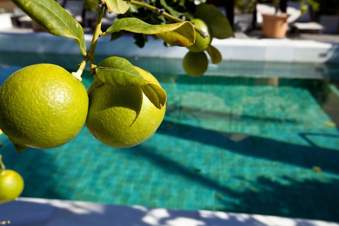 Imagen de la piscina del Hotel Rio Real Golf Wellness. Foto 16