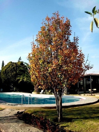 Imagen de la piscina del Hotel Rio Tequisquiapan. Foto 12