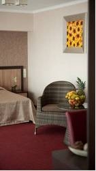 Imagen general del Hotel Ripario Hotel Group. Foto 22