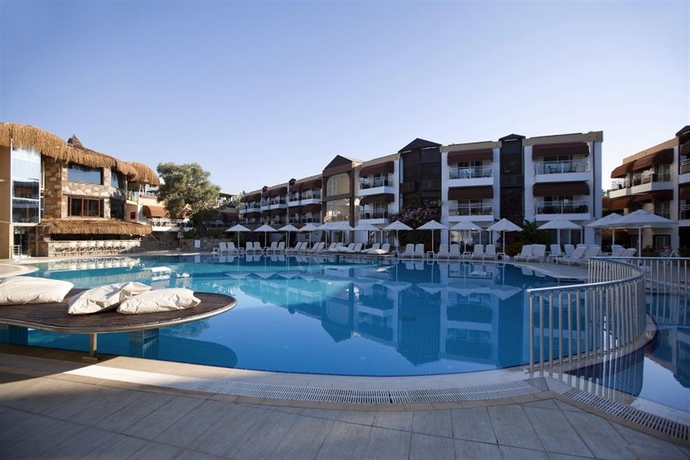 Imagen de la piscina del Hotel Risa. Foto 11