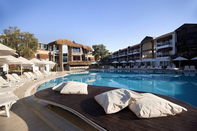 Imagen de la piscina del Hotel Risa. Foto 13