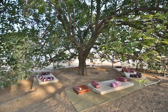 Imagen general del Hotel Rishikul Kumbh Cottages. Foto 11
