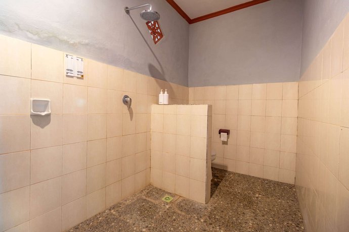 Imagen de la habitación del Hotel Rising Star Dive Resort, Amed. Foto 18