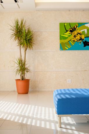 Imagen de los interiores del Hotel Rising Sun Miyakojima. Foto 19