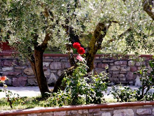 Imagen de la habitación del Hotel Ristorante La Terrazza, Asis. Foto 11