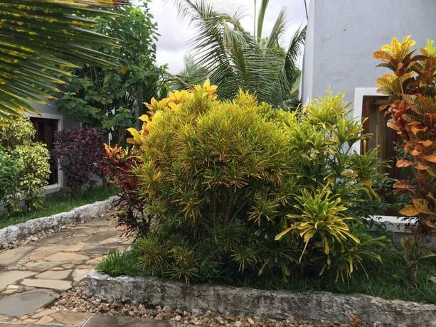 Imagen general del Hotel Ritam Getaways. Foto 15