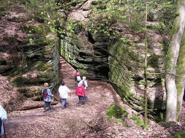 Imagen de los exteriores del Hotel Ritschlay. Foto 20