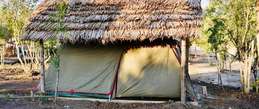 Imagen de la habitación del Hotel Ritungu Camp. Foto 16