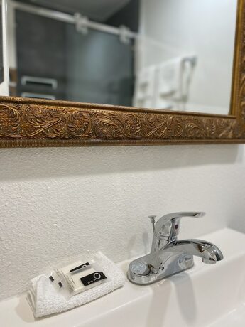 Imagen general del Hotel Ritz Inn San Francisco SFO Airport. Foto 7