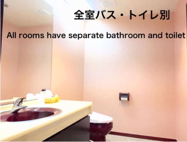 Imagen de la habitación del Hotel Ritz Koshien. Foto 16