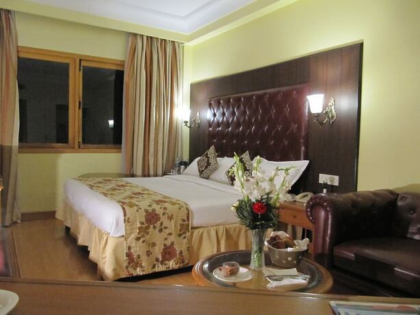 Imagen de la habitación del Hotel Ritz Plaza, Amritsar. Foto 26