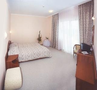 Imagen de la habitación del Hotel Ritza. Foto 5