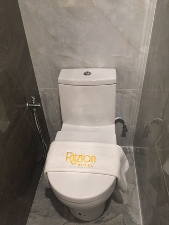 Imagen de la habitación del Hotel Ritzton. Foto 5