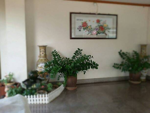 Imagen general del Hotel Ritzy House. Foto 15