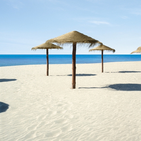 Imagen de los exteriores del Hotel Riu Concordia. Foto 11