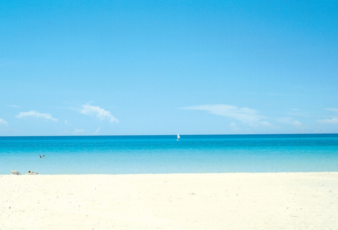 Imagen de los exteriores del Hotel Riu Concordia. Foto 12