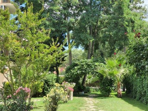 Imagen general del Hotel Riva Park - All Inclusive. Foto 5
