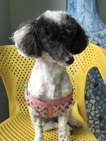 Imagen de los interiores del Hotel River Art. Foto 5