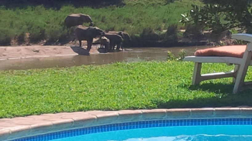 Imagen de la piscina del Hotel River House Bush And Safari Lodge. Foto 12