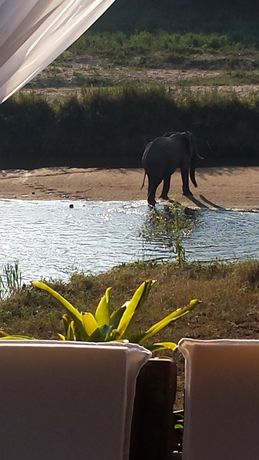 Imagen de los exteriores del Hotel River House Bush And Safari Lodge. Foto 8
