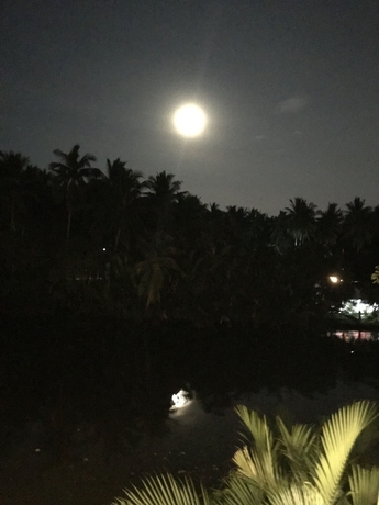 Imagen de la habitación del Hotel River Jam Amphawa. Foto 14