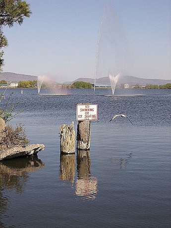 Imagen de los exteriores del Hotel River Park Inn. Foto 15