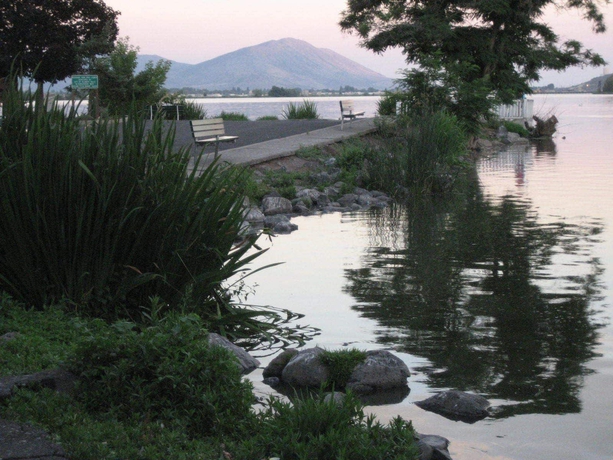 Imagen de los exteriores del Hotel River Park Inn. Foto 16