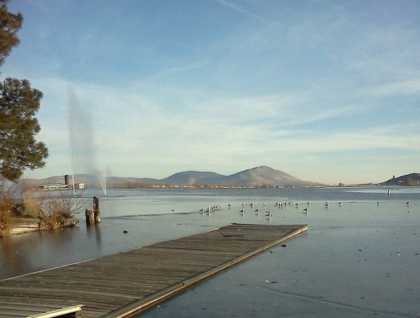 Imagen de los exteriores del Hotel River Park Inn. Foto 17