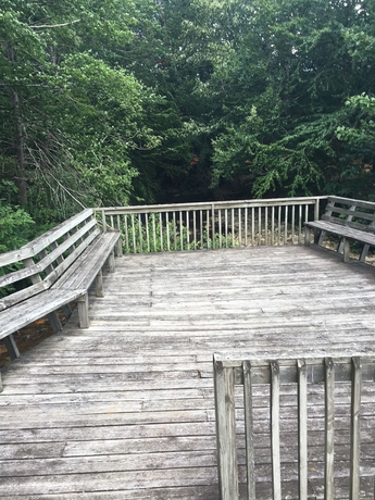 Imagen de los exteriores del Hotel River Point Lodge. Foto 11