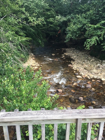 Imagen de los exteriores del Hotel River Point Lodge. Foto 13