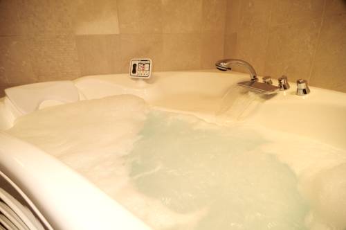 Imagen de la habitación del Hotel Rivera Del Duero. Foto 11