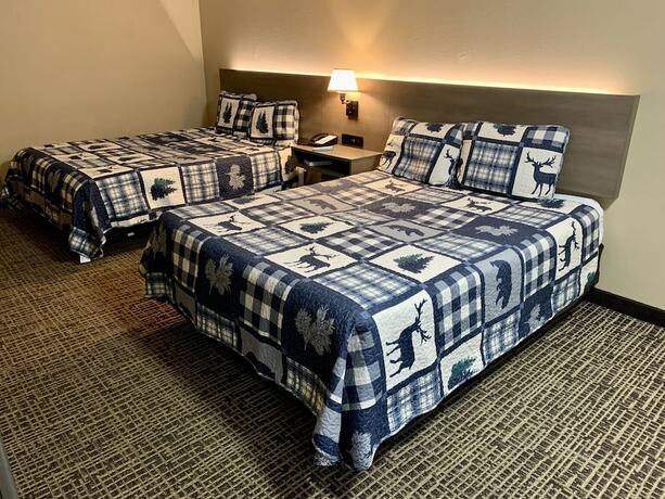 Imagen de la habitación del Hotel Riverchase Lodge. Foto 17