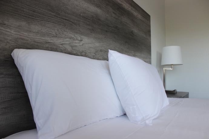 Imagen de la habitación del Hotel Riverleaf Inn Mission Valley. Foto 11