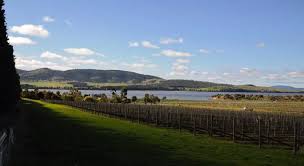 Imagen de los exteriores del Hotel Riversdale Estate Cottages. Foto 7