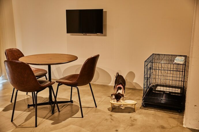 Imagen de la habitación del Hotel Riverside Arashiyama. Foto 27