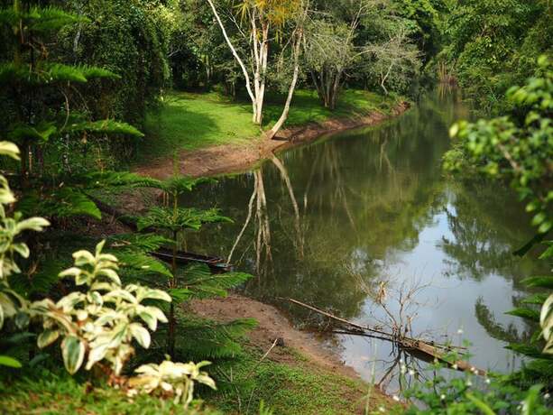 Imagen general del Hotel Riverside Home. Foto 11